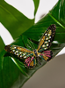 Broszka z kolorowym motylem Papillon II BRPI0016