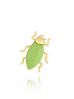 Broszka z zielonym owadem mała Cayayaan BRJO0008