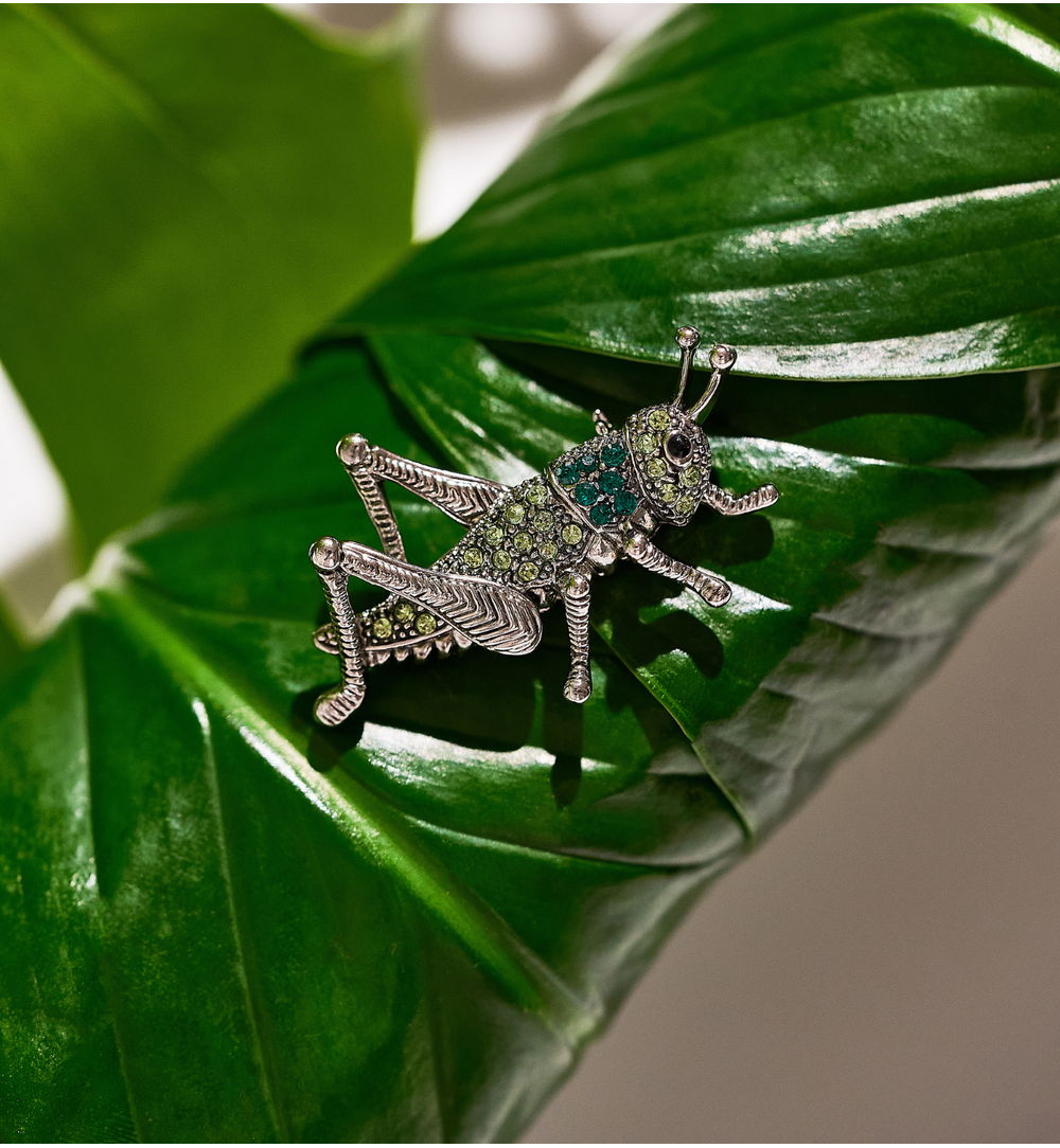 Broszka z konikiem polnym Grasshopper BRSS0061