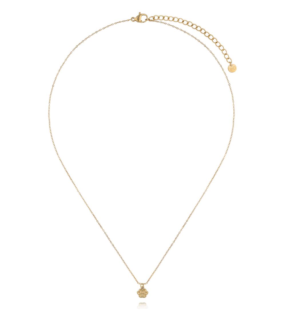 Naszyjnik z łapką – złoty symbol miłości do zwierząt NSY0793