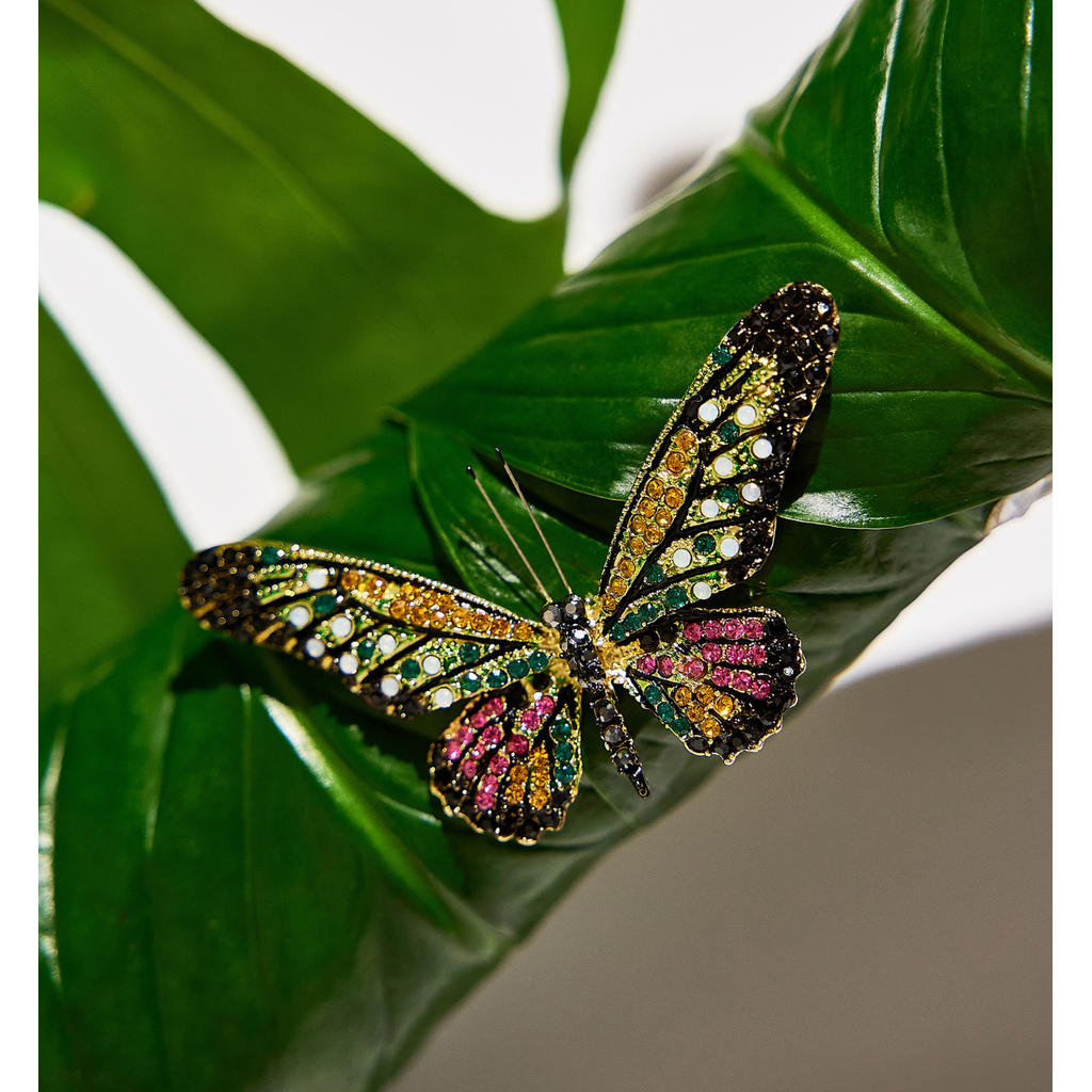 Broszka z kolorowym motylem Papillon II BRPI0014