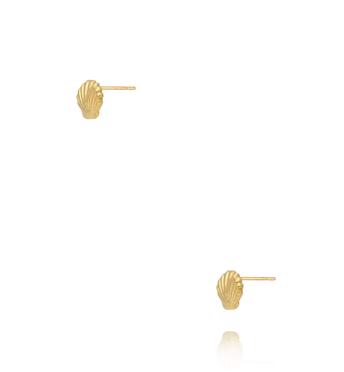 Kolczyki w kształcie muszli KSY0546