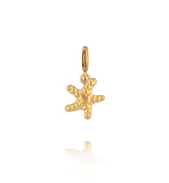 Charms złota rozgwiazda CHA0119