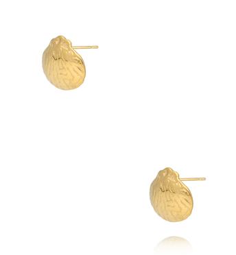 Kolczyki muszelki złote KSY0349