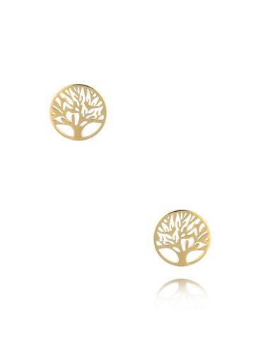 Kolczyki złote z drzewkiem Round Tree KSA1523