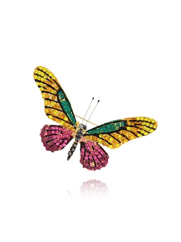 Broszka z kolorowym motylem Papillon II BRPI0013