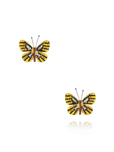 Kolczyki z kolorowymi motylkami Papillon KPI0011