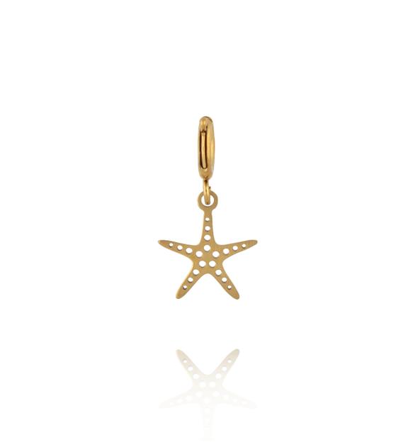 Charms morska rozgwiazda CHA0167