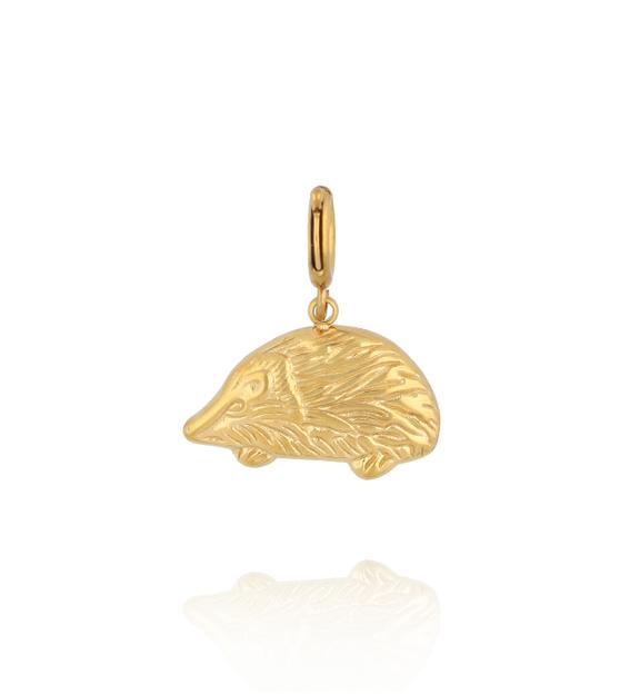 Charms Leśny Odkrywca- Jeżyk CHA0035