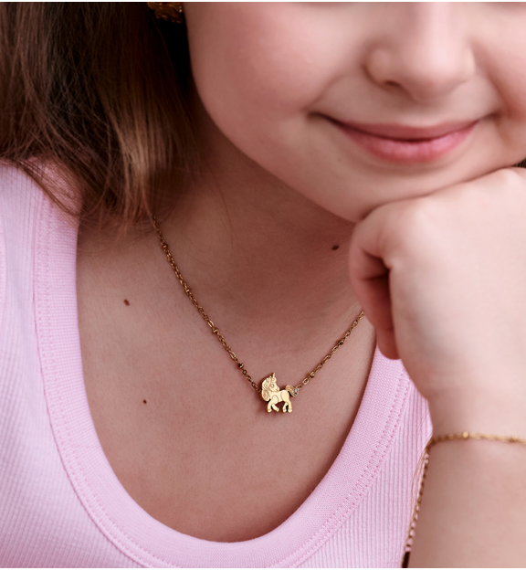 Naszyjnik z zawieszką konika i cyrkoniami NSY0813