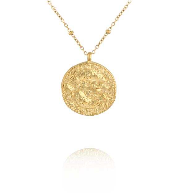 Naszyjnik znak zodiaku Ryby  NSA1550