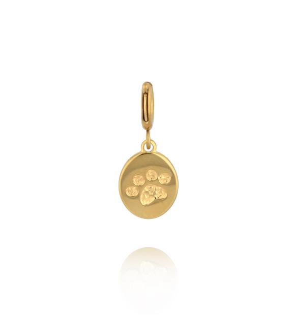 Charms Psia Łapka w medalionie CHA0094