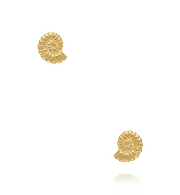 Zestaw kolczyków morski – Muszla, Delfin i Amonit KSY0348