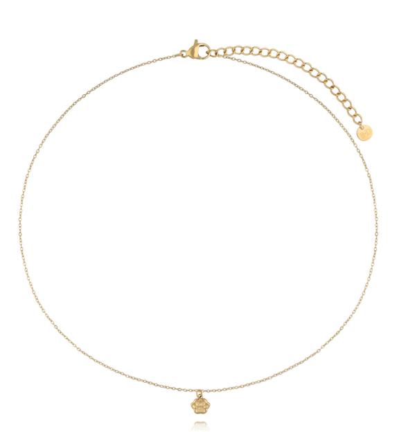 Naszyjnik z łapką – złoty symbol miłości do zwierząt NSY0792