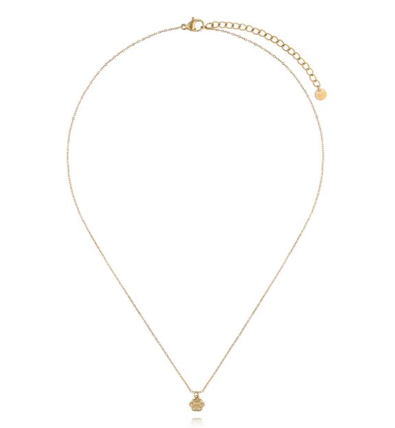 Naszyjnik z łapką – złoty symbol miłości do zwierząt NSY0793