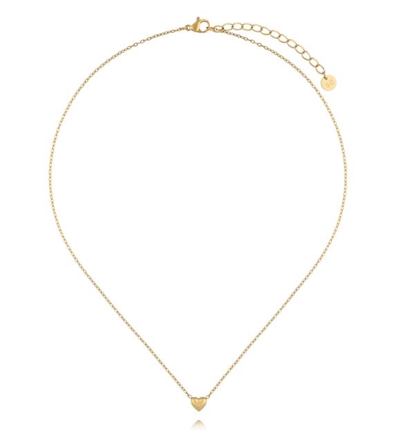 Naszyjnik ze stali szlachetnej z sercem złoty NSY0945