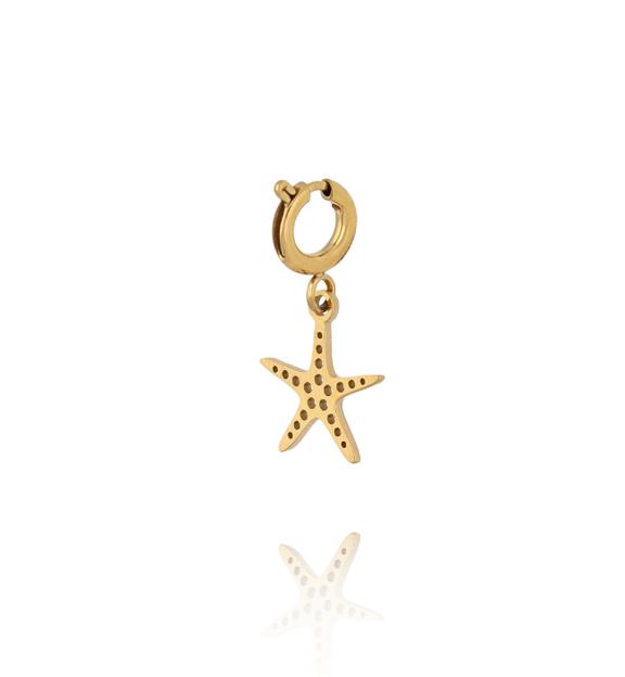 Charms morska rozgwiazda CHA0167