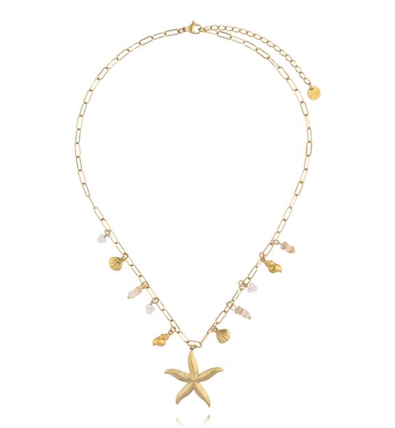 Naszyjnik z rozgwiazdą i muszlami NSY0746