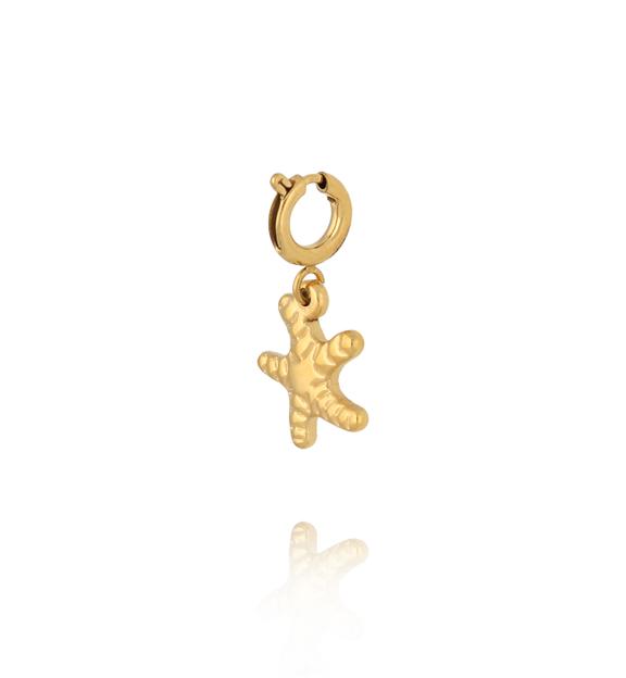 Charms złota rozgwiazda CHA0119